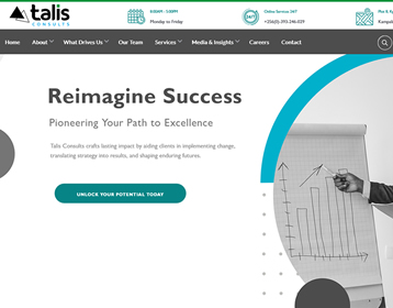 Talis Consults - Screenshot 1